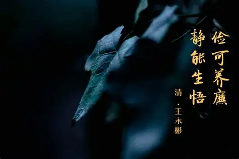 尘间万象,止于旁观,不起贪喜-维度博客